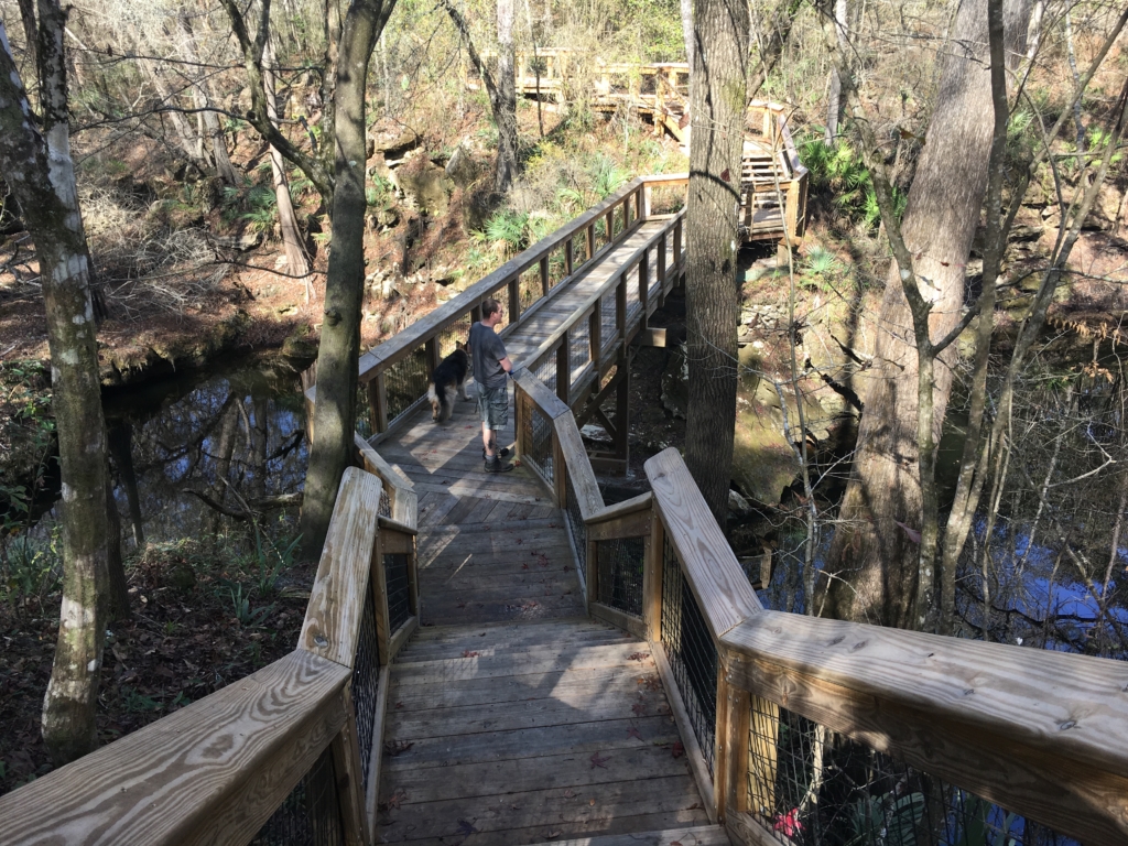 Hiking trail at Suwannee River State Park