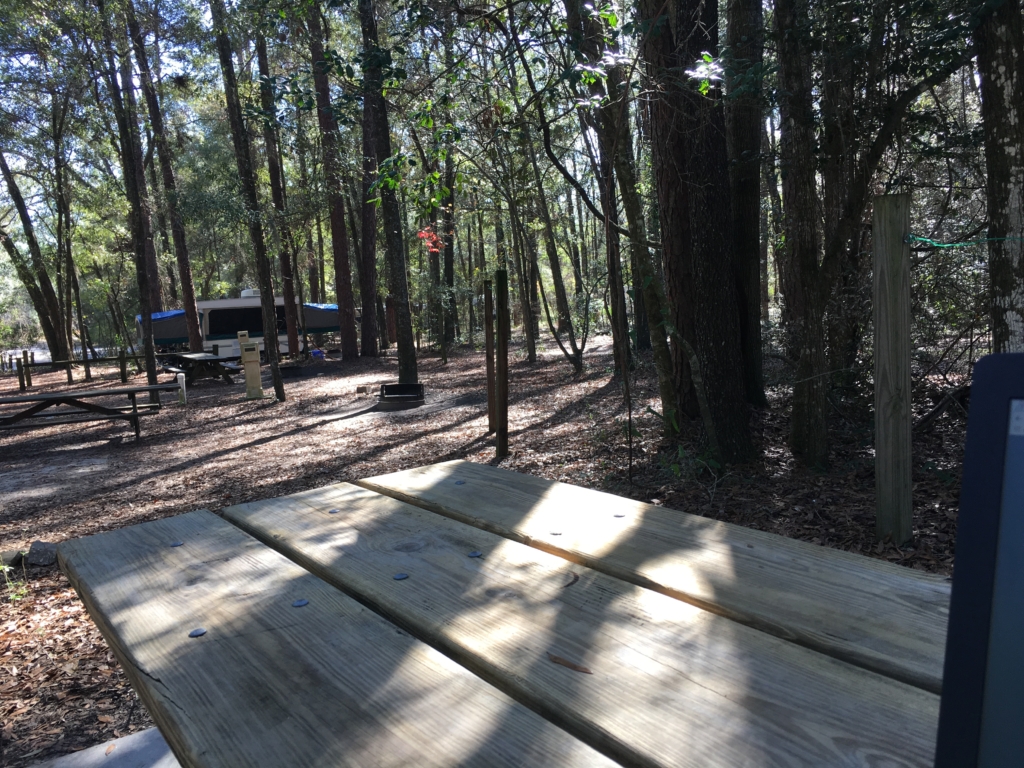 Wooded campground at Suwannee River State Park