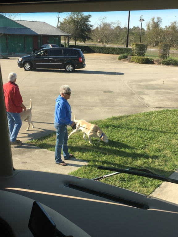 People walking dog on campsite at Gulf Coast RV Resort in Beaumont, Texas