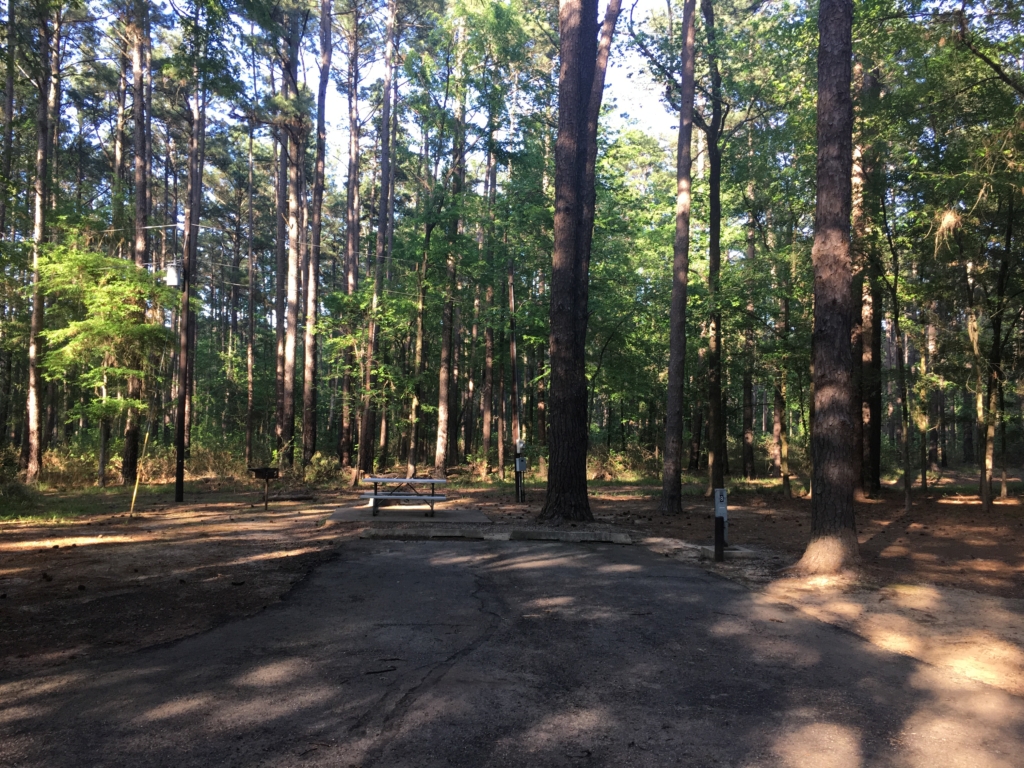 Campsite at Atlanta State Park