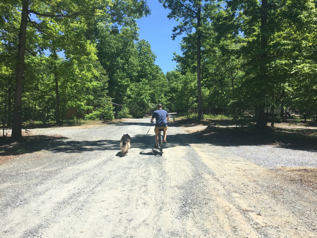 Kevin on a bike with Dixie running next to him
